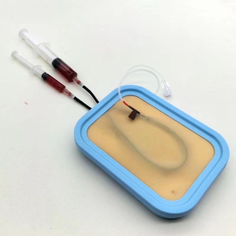 Venipuncture Training Kit Sili - đánh giá và giá Model Kit Tool